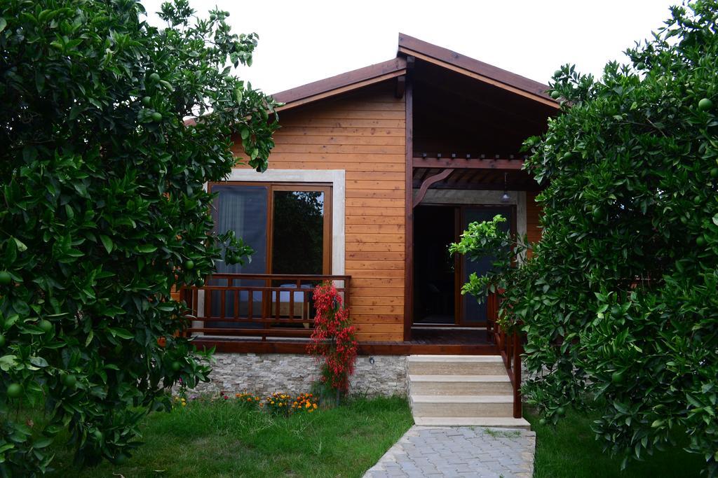 Villa Bilge Çıralı Værelse billede